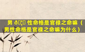 男 🦉 性命格是官禄之命嘛（男性命格是官禄之命嘛为什么）